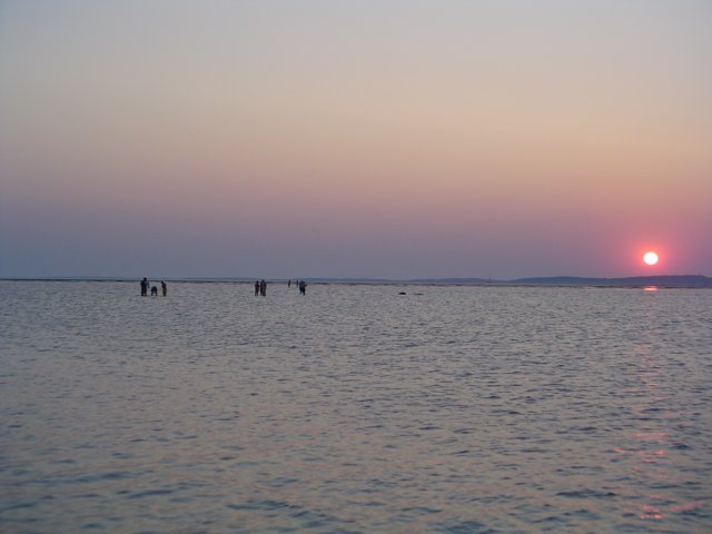 2004Zeilkamp 145.jpg